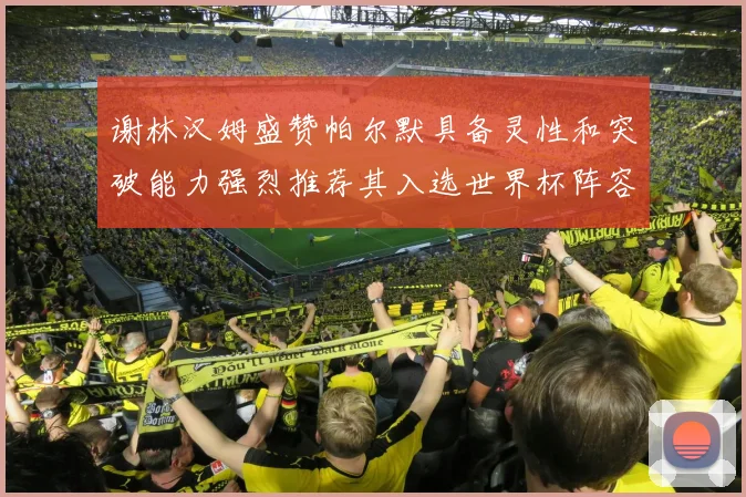 谢林汉姆盛赞帕尔默具备灵性和突破能力强烈推荐其入选世界杯阵容