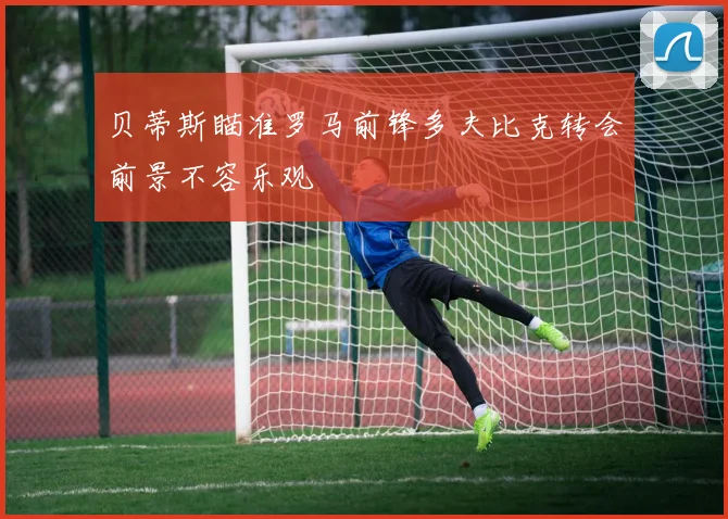 贝蒂斯瞄准罗马前锋多夫比克转会前景不容乐观